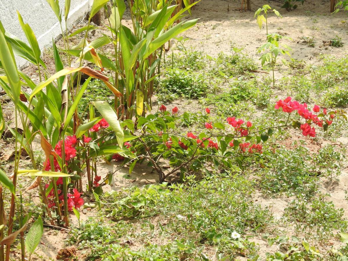 Alleppey Beach Garden Alappuzha Exteriör bild