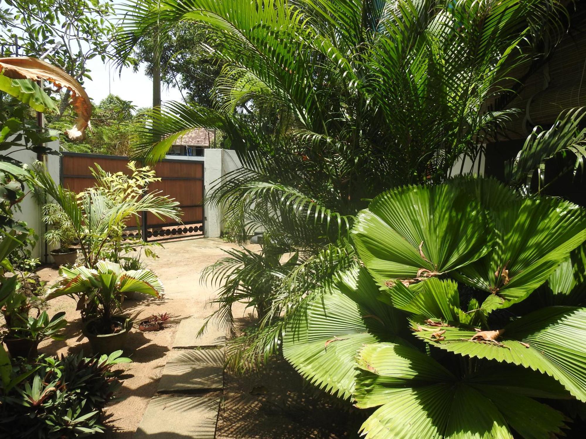 Alleppey Beach Garden Alappuzha Exteriör bild
